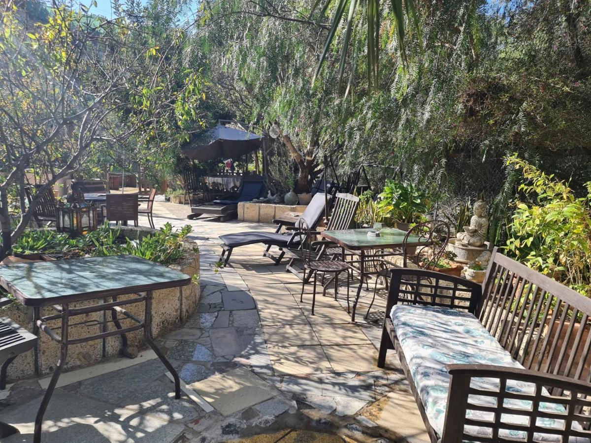 Finca Tropical Arico Viejo エクステリア 写真