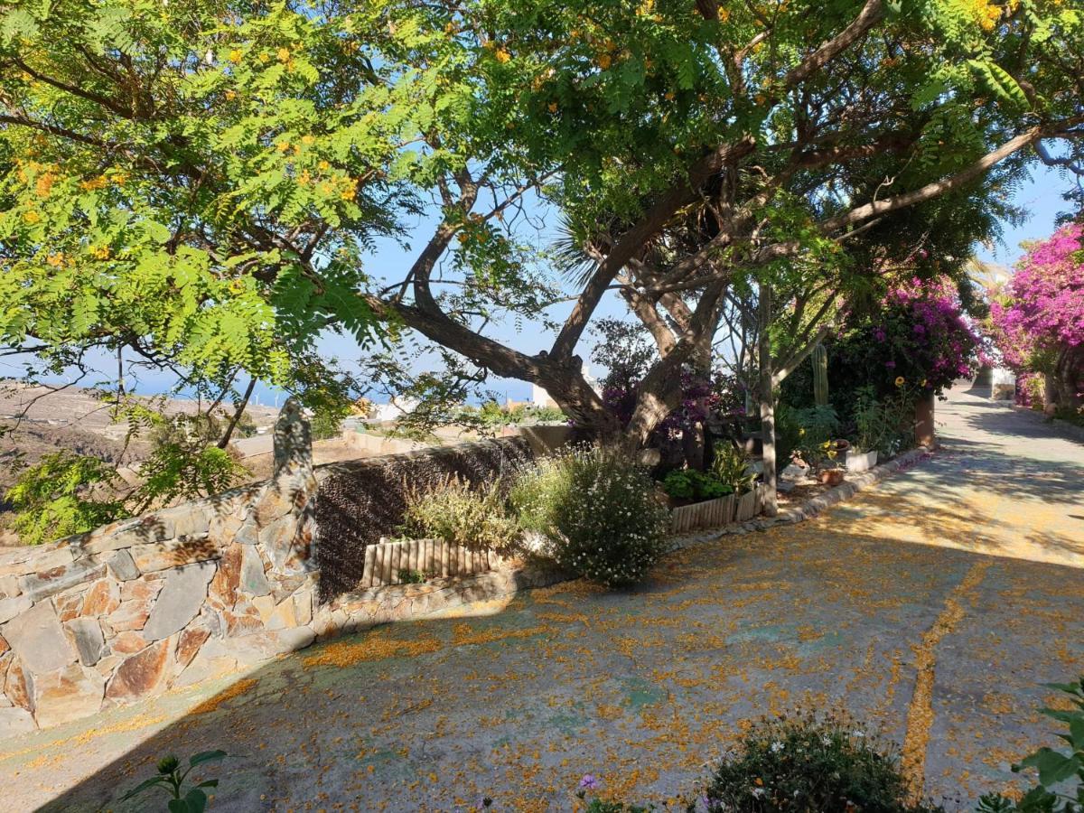 Finca Tropical Arico Viejo エクステリア 写真