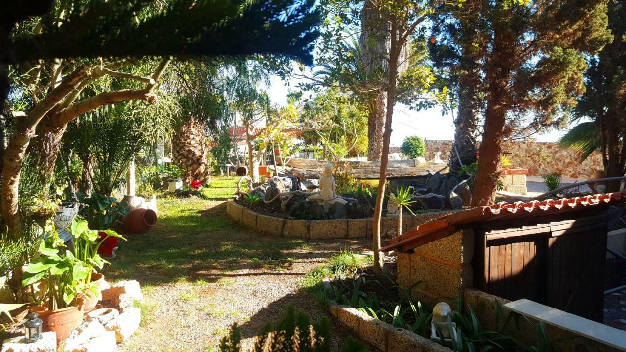 Finca Tropical Arico Viejo エクステリア 写真