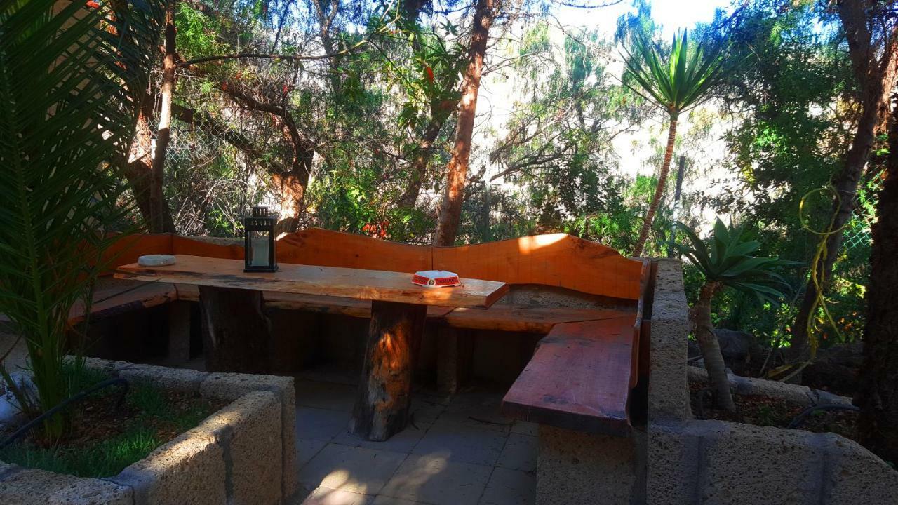 Finca Tropical Arico Viejo エクステリア 写真