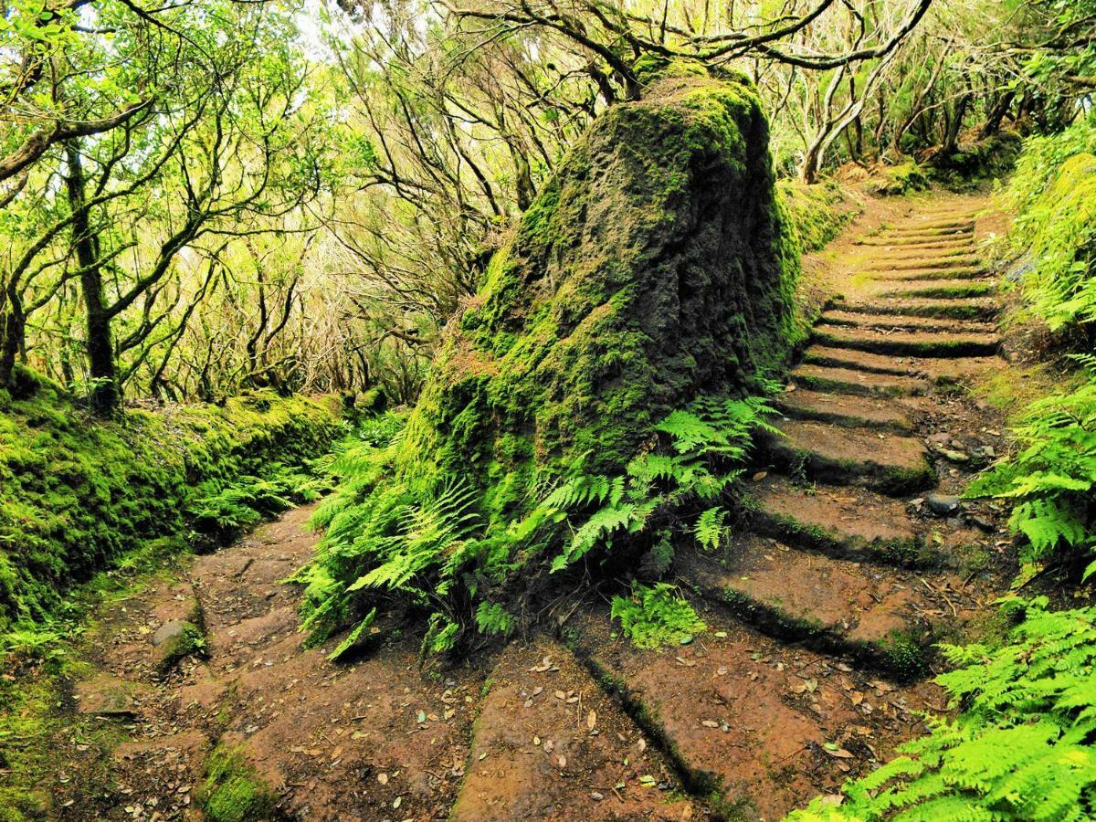 Finca Tropical Arico Viejo エクステリア 写真