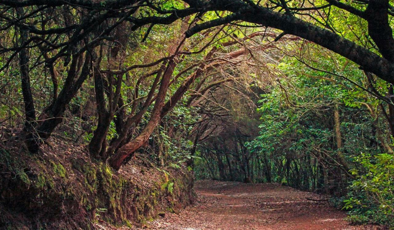 Finca Tropical Arico Viejo エクステリア 写真