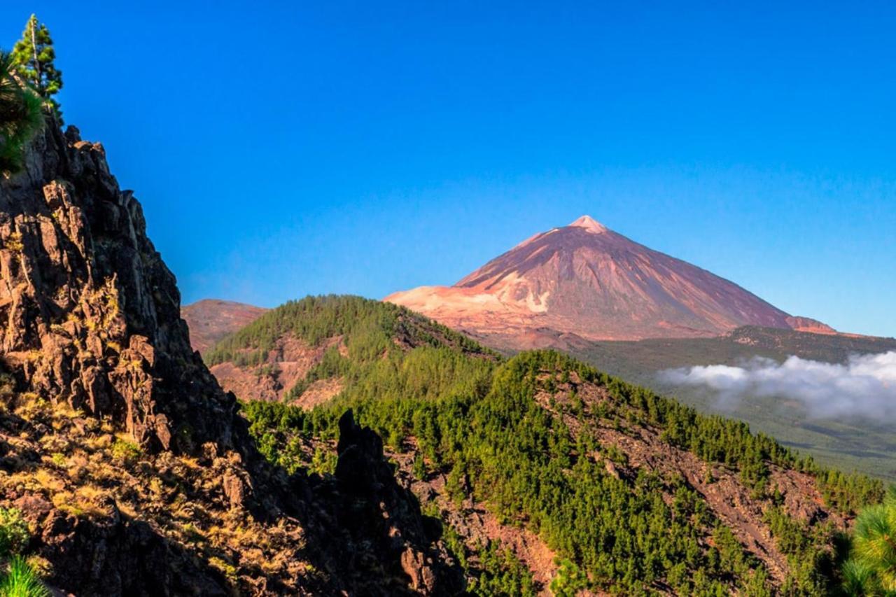 Finca Tropical Arico Viejo エクステリア 写真